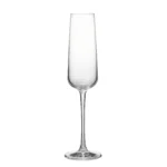 champagne glass 230 ml on white background