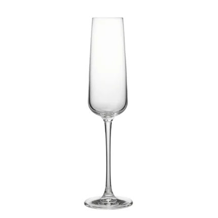 champagne glass 230 ml on white background